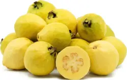 الجوافة تفتح باباً جديداً لعلاج سرطان الكبد