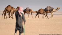 رحلة غير اعتيادية تخوضها فتاة سعودية من الرياض إلى باريس