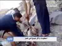 يمنيون يصطادون ضبعا و يأكلون لحمه