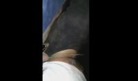 شفار شدوه كيشفر البقر ربطوه وسلخوه مزيان حتا سال الدم