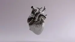 رقعة قلبية ثورية تُدخل الأمل: تقنية قابلة للطي تُصلح القلوب دون جراحة مفتوحة