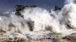 من الأرشيف