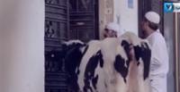 بالفيديو ..كاميرا خفية بفلسطين كادت تتحول الى كارثة بعد استعانة الضحية ببندقية