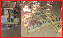 حجز شحنة مخدرات في ورزازات بعد مواجهة هوليودية بين مهربين وعناصر الشرطة