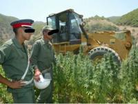مزارعون يمنعون الدرك الملكي من اقتحام منزل أحد مزارعي الكيف