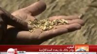 بوادر جفاف حاد يهدد السنة الفلاحية بالمغرب