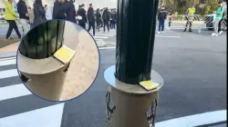 قبل مواجهة الكونغو..مشجع جزائري حصلو عندو حجاب حدا التيران خلاه وهرب