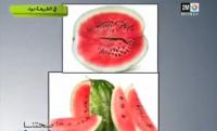 فوائد الدلاح
