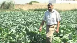 الفلاح : بين التكاليف و الإنتاجية " وثائقي "