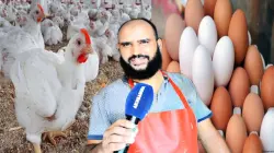 مهني يكشف سبب غلاء البيض والدجاج خلال فصل الصيف وينبه المواطنين