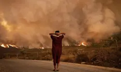 قلوب المغاربة مع إخوتهم الجزائريين وتأسُّف على عدم فتح الباب أمام "الكنادير" المغربية للمساندة في إطفاء الحرائق