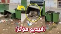 شوفو هاذ المغربي فين ناعس مسكين بسبب الشتاء والبرد
