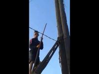 يغامر بحيث لإنقاذ حمامة عالقة