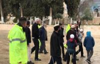 هل يتسبب في انتفاضة فلسطينية جديدة؟ ..وزير إسرائيلي يقود اقتحاما للمسجد الأقصى