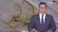 تزايد عدد المصابين بلسعات العقارب بسطات