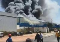مصدر: هذا هو حجم خسائر "سنطرال دانون" بعد حريق المحمدية