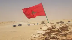 قرار مجلس الأمن رقم 2797 على سرير "بروكست"!