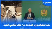وزير الفلاحة عن غلاء أضاحي العيد: لاش كنشوفو غير هداك د5000 درهم، كاين 800 و1000 درهم