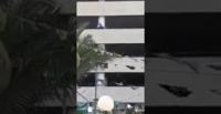 بالفيديو.. إنقاذ ناجح لفتاة لحظة محاولتها الانتحار