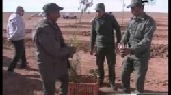 مواجهة زحف الرمال بالمنطقة الشرقية
