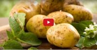 فوائد البطاطس المتعددة