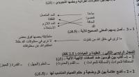 خطأ فادح في كتابة آية قرآنية في امتحانات المستوى السادس إبتدائي (صورة)