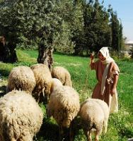 الصورة من الأرشيف
