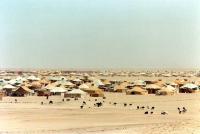 تقارير جديدة تؤكد تورط الجزائر و الانفصاليين في اختلاس المساعدات الانسانية الموجهة الى مخيمات تندوف	