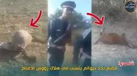 شاهد وفاة عشرات الأغنام والماعز بسبب نفايات سامة لأحد المصانع بحد السوالم