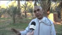 إنتاج التمور بواحة درعة تافيلالت
