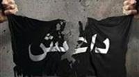 الأحاديث الضعيفة التي يستند إليها "داعش"