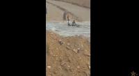 فيديو مؤلم ..  شخص تجرفه السيول ليلقي حتفه في واد سوس
