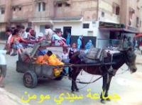 في غياب مرافق ترفيهية بالبيضاء ابتكار أرجوحة يجرها حمار.!!