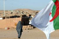 صحافي عراقي معروف يقصف نظام العسكر في مقال جريء:"الجزائر والصحراء.. عقم السياسة من عقم العقول"