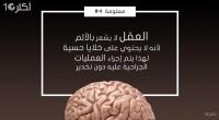 10 معلومات سريعة : حقائق مثيرة عن العقل البشري