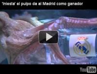 الأخطبوط إنييستا يتوقع فوز ريال مدريد 