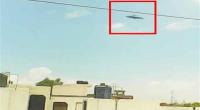 طالب هندي يلتقط أوضح صورة لطبق طائر