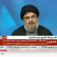 نصر الله وثورة تونس
