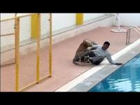 نمر يهاجم عاملا داخل احدى المدارس بالهند