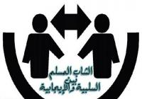 الشاب المسلم بين السلبية والإيجابية