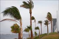 نشرة إنذارية : رياح قوية غدا الثلاثاء بعدد من مناطق المغرب