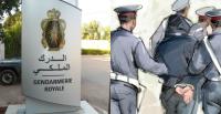 غريب... الدرك الملكي يعتقل مروجين للمخدرات قطعا مئات الكيلومترات مشيا على الأقدام بين الجبال لمدة 20 يوما!