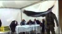 طقوس عرس داعشي