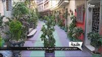 شبابُ طنجة يحوّلون أحياءً بـ"عروس البوغاز" إلى فضاءات خضراء