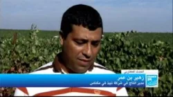 نبيذ مكناس على القنوات الأجنبية