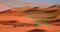 كونفدرالية الناشرين تدعو إلى دعم الوفد المغربي المشارك في المائدة المستديرة حول الصحراء المغربية عبر هذا الإجراء(النص الكامل للبلاغ)