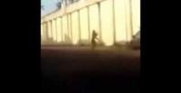 بالفيديو.. لحظة فرار مساجين من سجن برازيلي قفزًا من أعلى السور