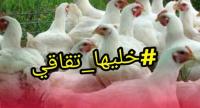 هل يفعلها المغاربة مجددا...حملة مقاطعة الدجاج والبيض تتسع والتجار يشتكون من الركود