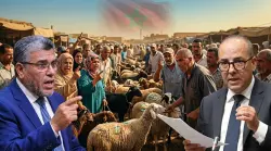 في رسالة نارية.. "الرميد" يطالب بإقالة وزير  الفلاحة على خلفية "جحيم" أسعار الأضاحي