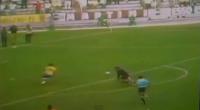 حركة مذهلة لـ "نيمار" .. لم يفعلها سوى "بيليه"